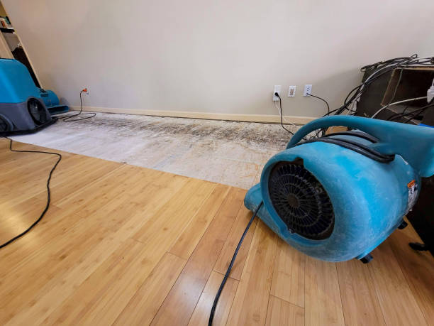 Professional Sewage Cleanup technician working in Andover, MN